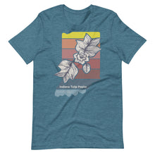 Load image into Gallery viewer, Tulip Poplar - Hoosier Threads